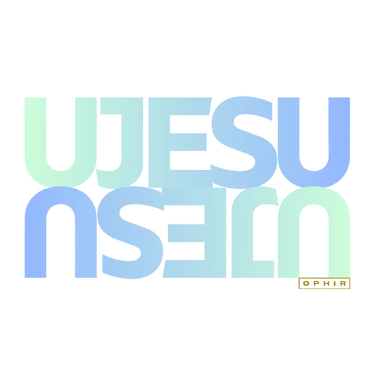 JESUS PREMIUM MENS HOODIE (ZULU)