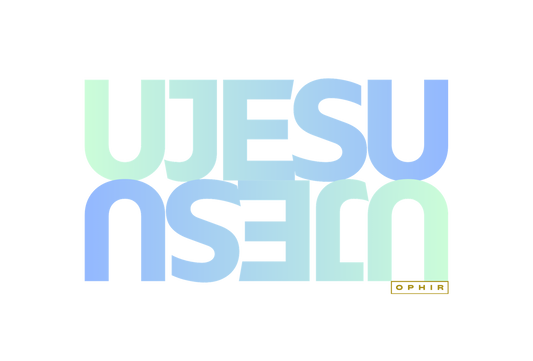 JESUS T-SHIRT (ZULU)