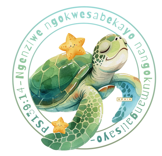 SEA TURTLE PS.139 T-SHIRT (ZULU-KIDS)