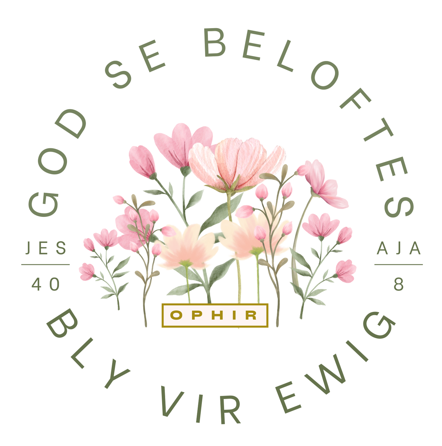PROMISES OF GOD (AFRIKAANS-KIDS)