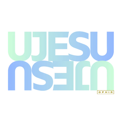 JESUS PREMIUM MENS HOODIE (ZULU)