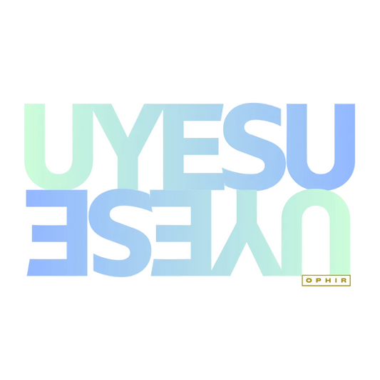 JESUS PREMIUM HOODIE MENS (XHOSA)