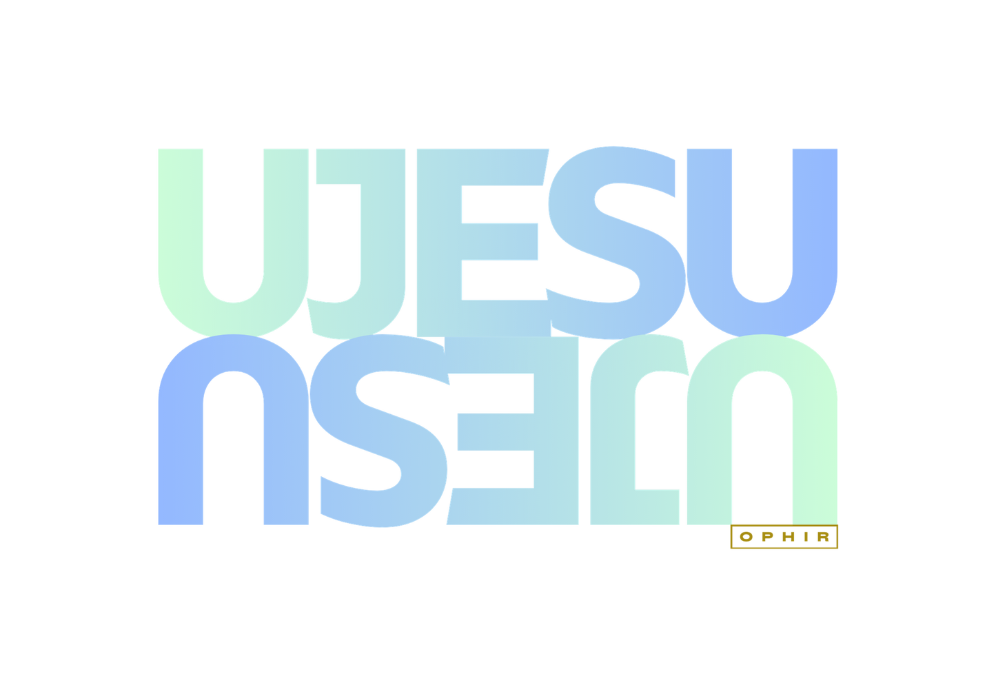 JESUS T-SHIRT (ZULU)