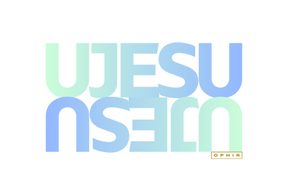 JESUS T-SHIRT (ZULU)