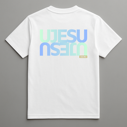 JESUS T-SHIRT (ZULU)