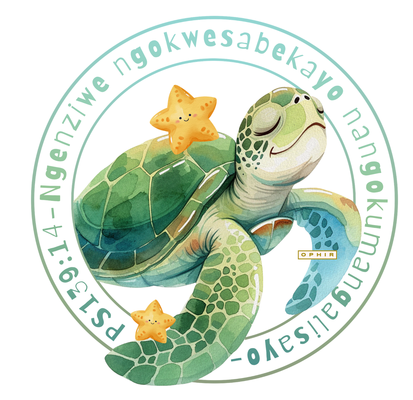 SEA TURTLE PS.139 T-SHIRT (ZULU-KIDS)
